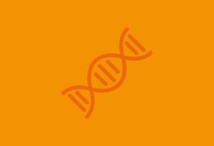 DNA – extraction & genetics